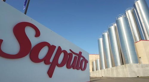 黃浦日記 進(jìn)口貿(mào)易便利化加速,這款牛奶 漂洋過海 到上海